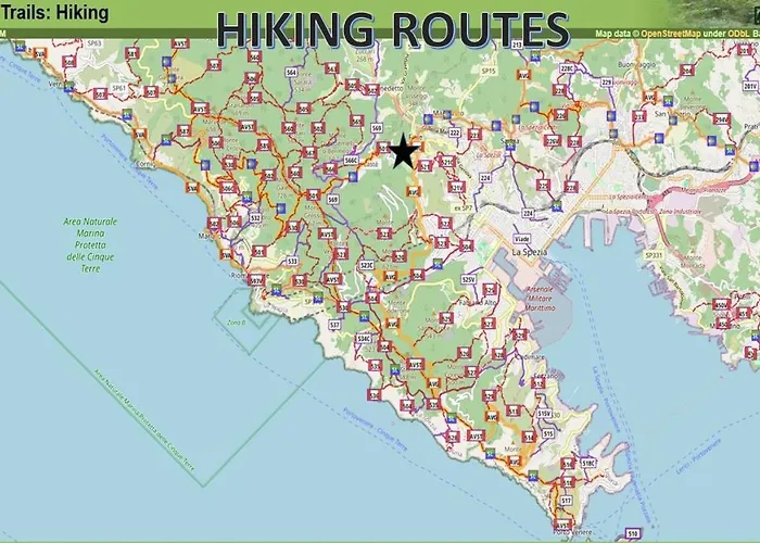 Unique Casa de Férias