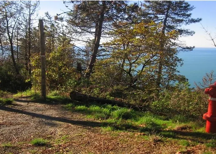 Casa de Férias Unique