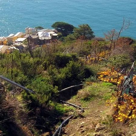 Unique لا سبيتسْيا