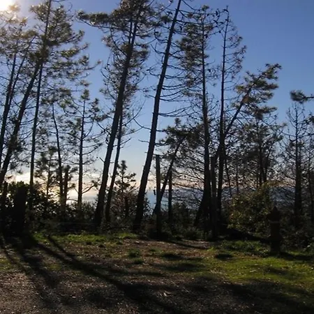 بيت للعطل Unique لا سبيتسْيا