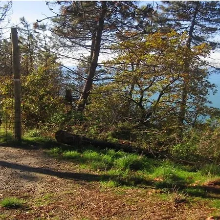 بيت للعطل Unique