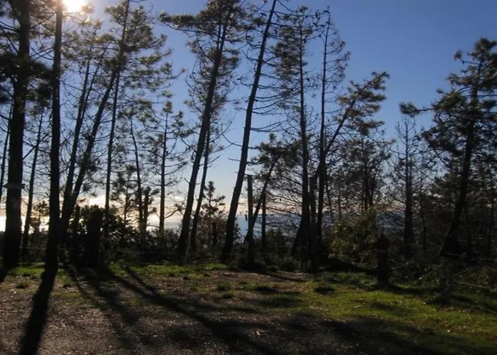 Дом отдыха Unique Специя